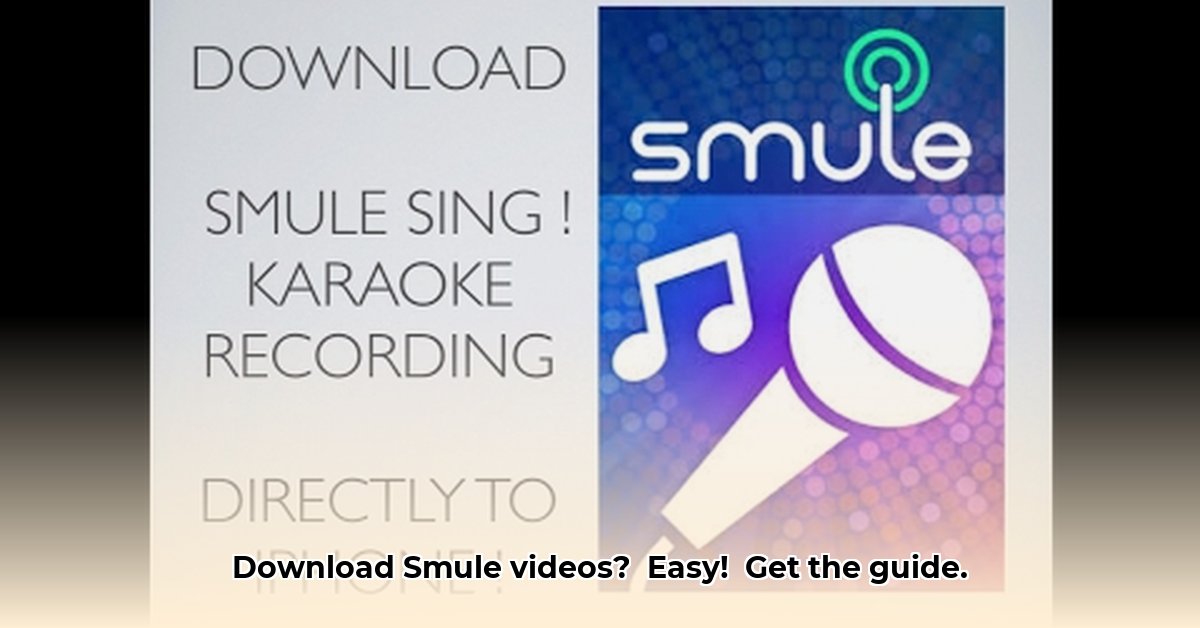 video-smule-downloader